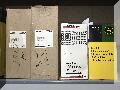 IMG_8963.JPG