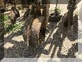 IMG_1406.jpg