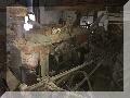 IMG_2980.jpg