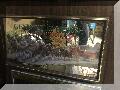 IMG_8263.JPG